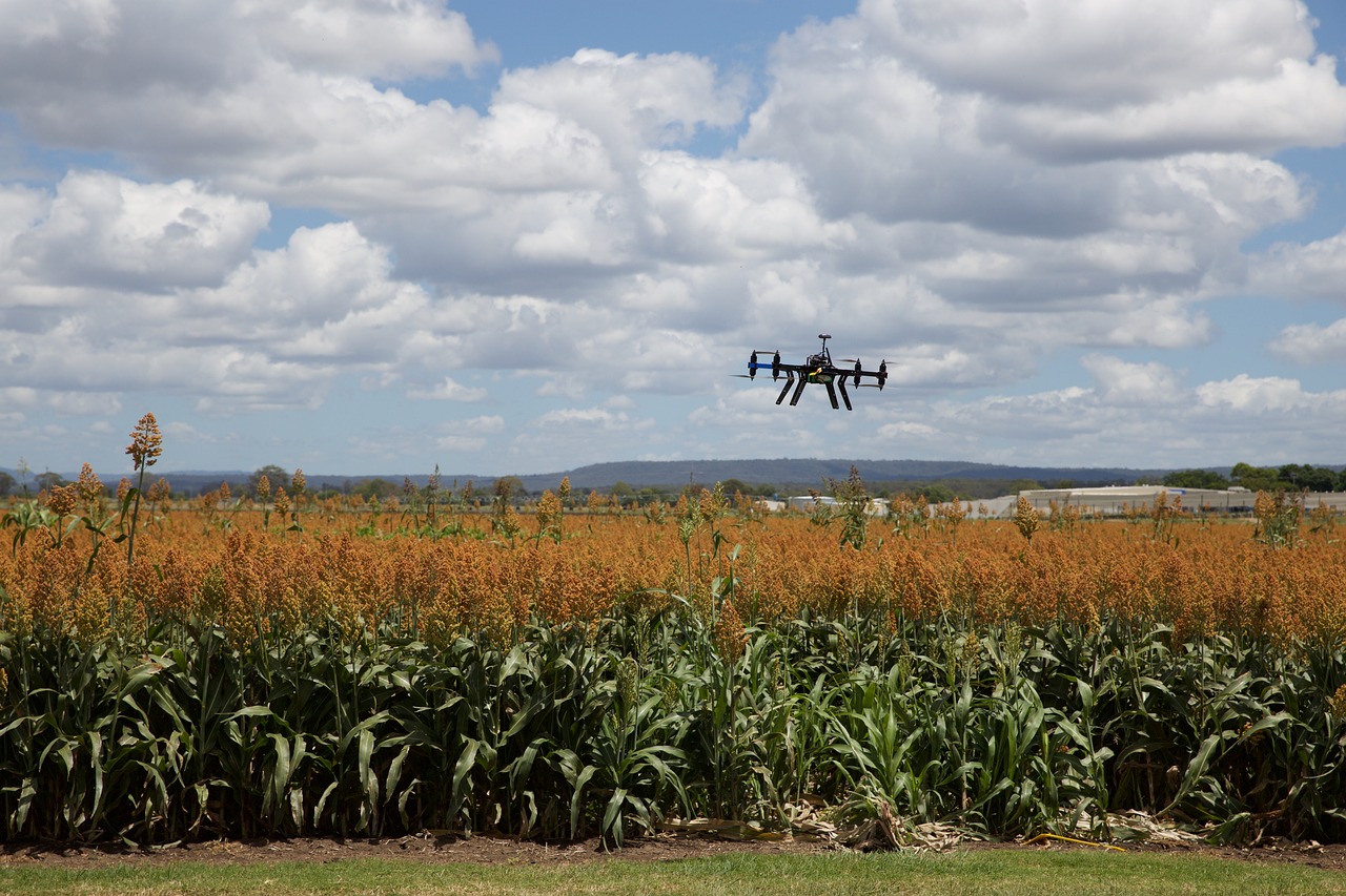 The Future of Agricultural Technology Innovations